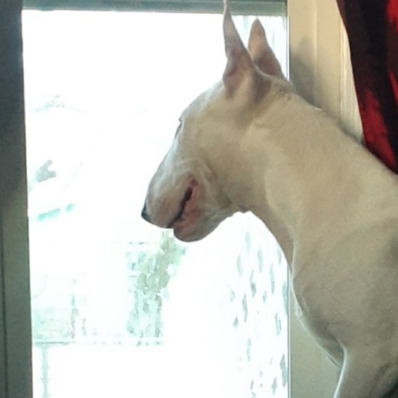 Meet your Posher, Sandra - Picture 1 of 1